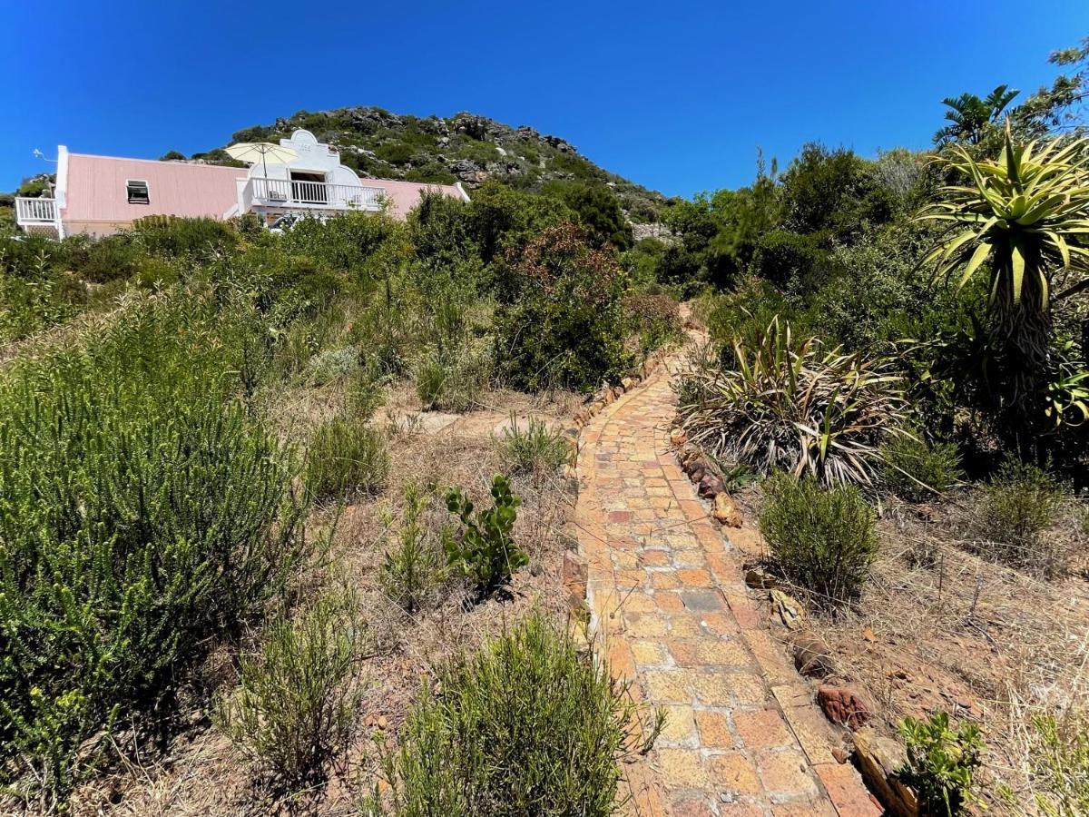 Windrose, Noordhoek, Sensationeller Meerblick Kapstaden Eksteriør billede